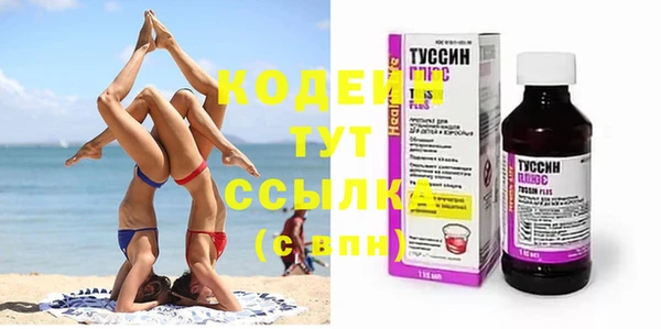стаф Кодинск