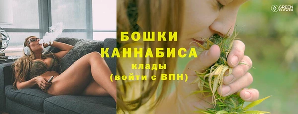 стаф Кодинск
