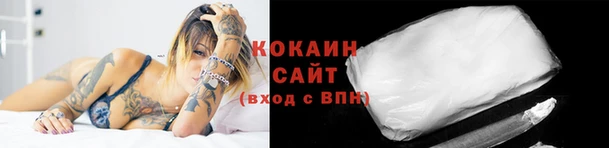 стаф Кодинск