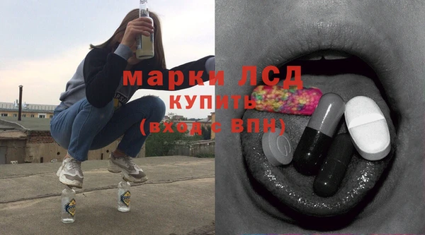 стаф Кодинск