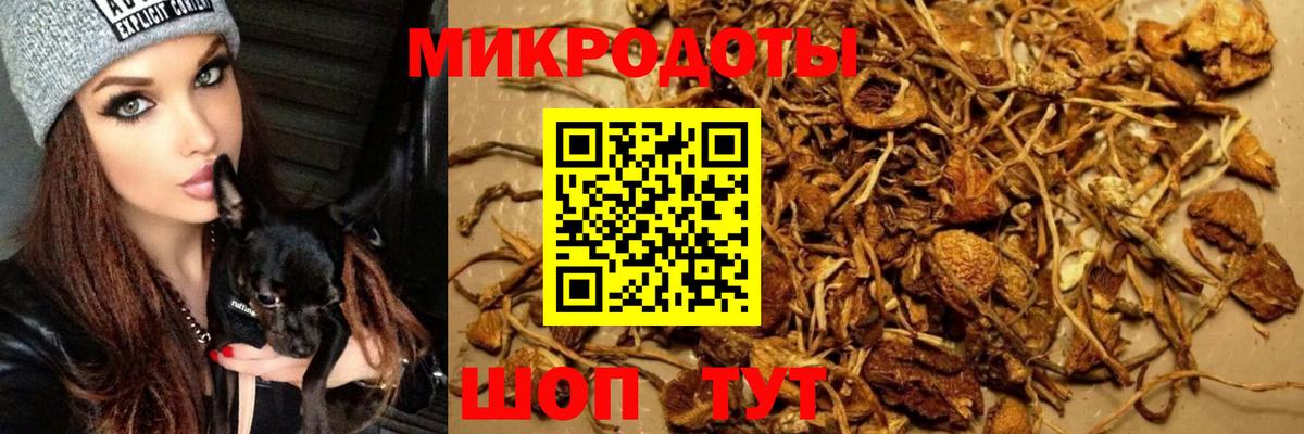 Псилоцибиновые грибы GOLDEN TEACHER  Вход с VPN  Тихорецк 