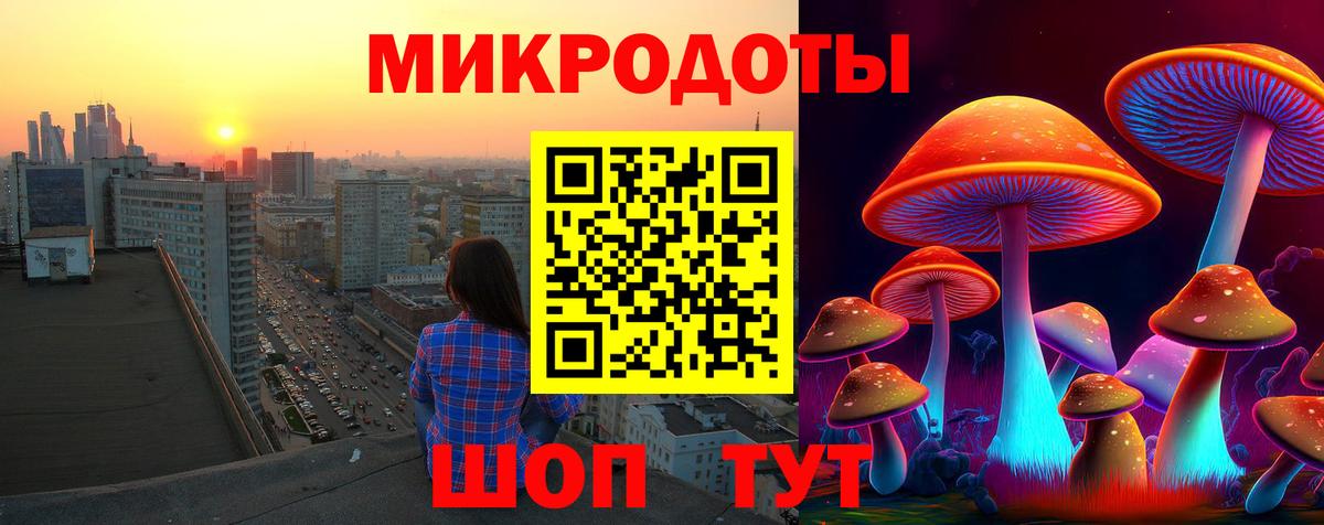 Галлюциногенные грибы Psilocybe Тихорецк